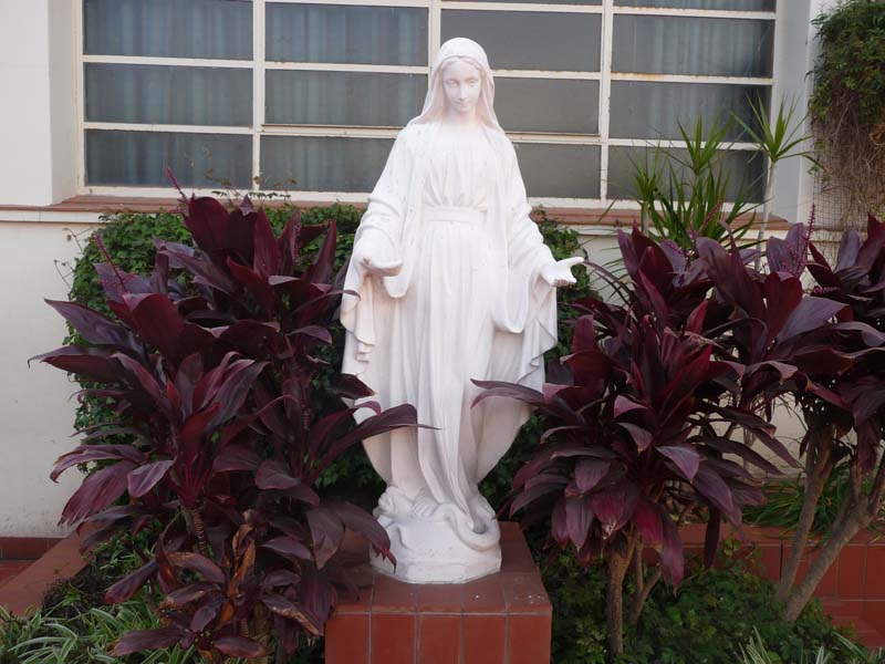 Instalaciones del Colegio Misericordia en Rafaela (foto 5)